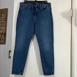 Hudson Jeans Women's Dark Blue Skinny Jeans